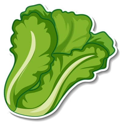 白底生菜贴纸