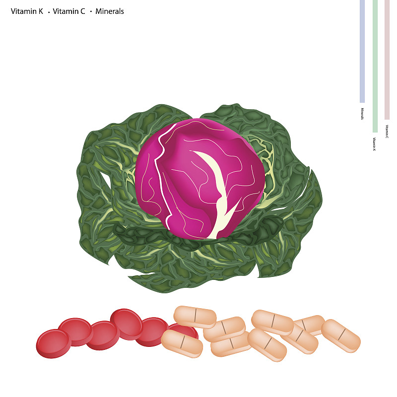 新鲜的红卷心菜含有维生素K和维生素C