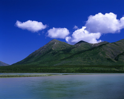 Carcross湖