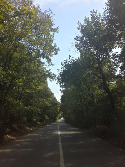 条条大路通天堂