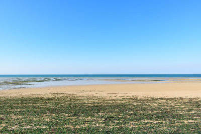 朱诺海滩的领主登陆在贝尼埃尔滨海和欧洲的海峡海，在法国，在诺曼底，在Arromanches les 