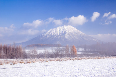约泰山