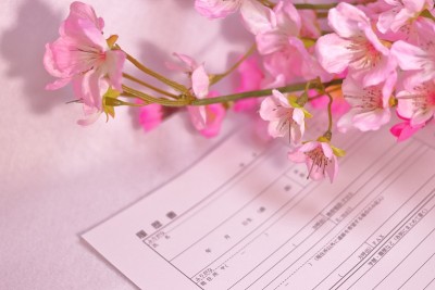 樱花盛开又重新绽放