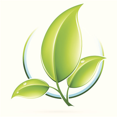 ECO图标