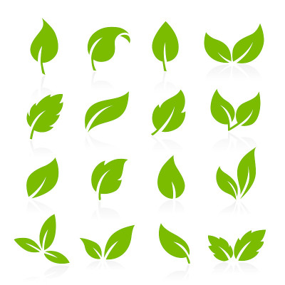 Vector Icons - Green Leaves