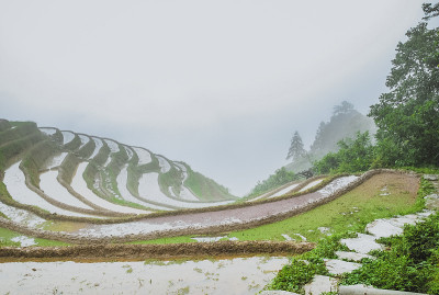 龙脊梯田风光