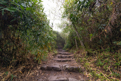 从马丘比丘遗址到山顶的徒步旅行路线