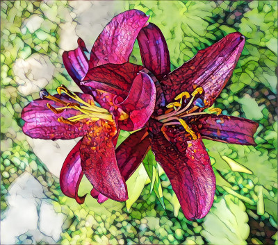东正教教堂花园夏季百合的摄影艺术图片