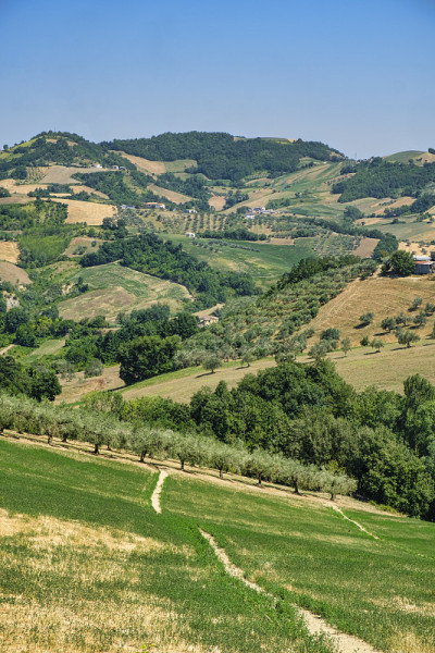 夏天，Teramo (Abruzzi)附近的景观