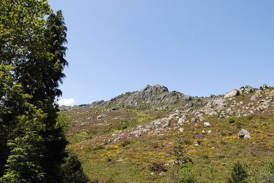 彩色的山