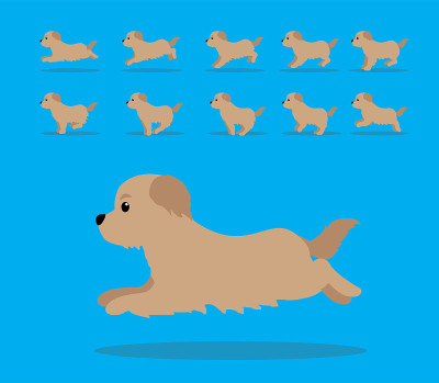 动物动画序列狗比利牛斯牧羊犬卡通向量