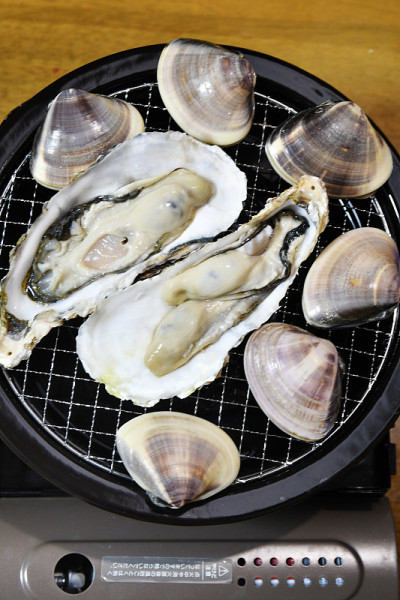 拓库上海新鲜烤架