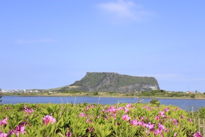 承山日出峰，联合国教科文组织世界遗产，日出峰，日出峰，岩石，火山口，悬崖，