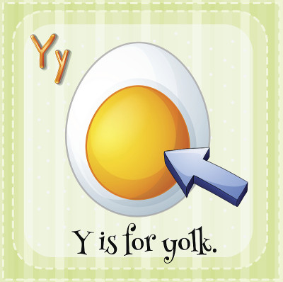 字母Y