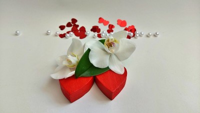 情人节兰花心珠