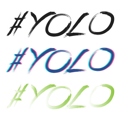 Yolo设置文本意思