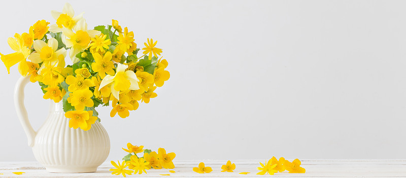 静物壶，春花黄花