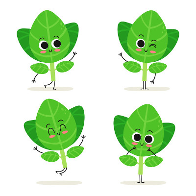 Oregano. Cute herb vector character set isolated o