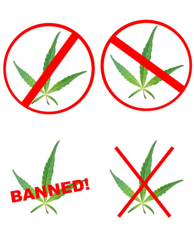 没有药物的迹象
