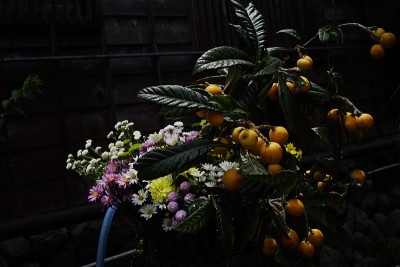 有花和枸杞的静物