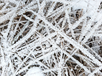 干草上的冰晶。自然界的霜冻图案在冬季来自霜雪。背景，文本空间。
