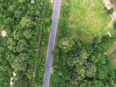 绿色森林之间的乡村道路的无人机视图