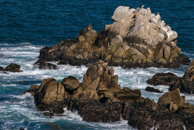 Point Lobos州自然保护区，大苏尔，卡梅尔高地，蒙特利县，美国加州