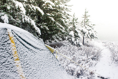 冬季森林中的旅游帐篷。松树下的雪