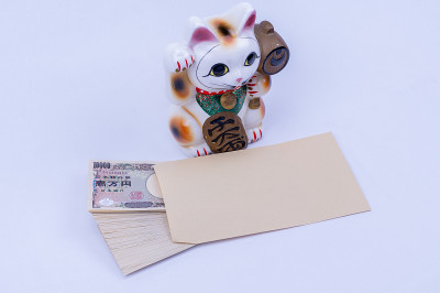 一只吸引人的猫和金钱来创造幸福。