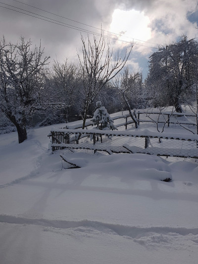冬天的雪地