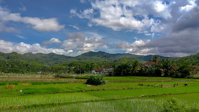 农村地区稻田和山区的美丽景色