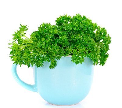 白底香菜
