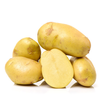 新土豆