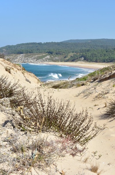 野生海滩与波浪打破，从沙丘观看。Rias Baixas地区，波尔图多森，Coruña，加利西亚，西班