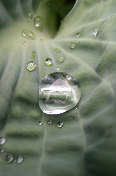 雨滴