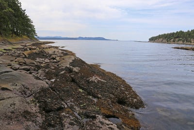 Gabriola岛湾
