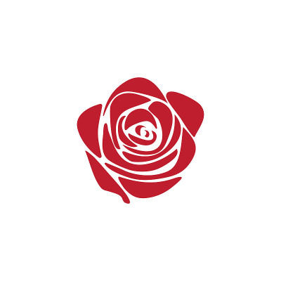 Red rose graphic design template illustration isol