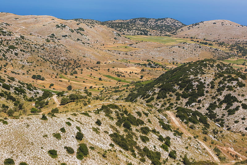 希腊Lefkada Englouvi村Vouni高原上的扁豆田