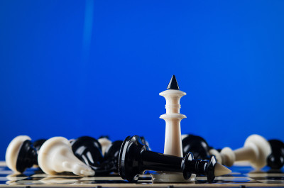 国际象棋王