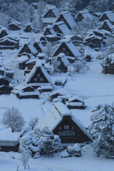 白雪覆盖的Shirakawa-gōgassho-zukuri”