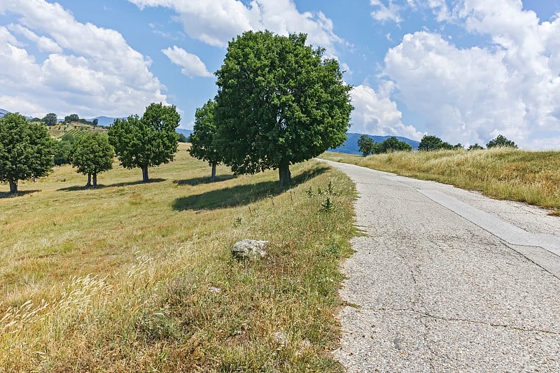 保加利亚布拉戈evgrad地区奥格拉日登山的夏季景观