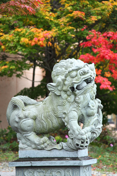 Komainu(狮子狗)，日本高山