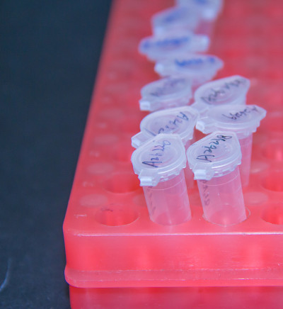一步PCR