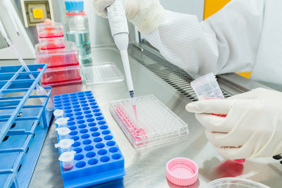 一位科学家在洁净室进行细胞培养实验。