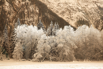 雪后高山的冰冻森林