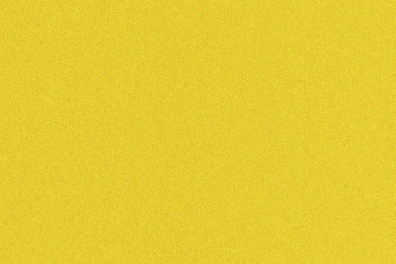纸