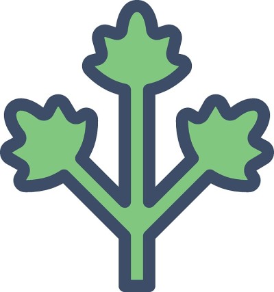 植物