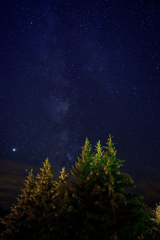 有球果的常绿冷杉树，法国阿尔卑斯山的山峰和星空在夜晚的背景