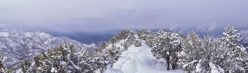 在犹他州盐湖城，通过沃萨奇前落基山脉的博纳维尔海岸线步道，小黑峰徒步步道可以看到冬天的雪景。美国。