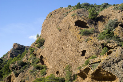 菲格罗莱(La Ciotat)